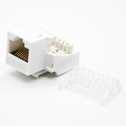 Cat5e RJ45 Modular Jack Unshielded Toolless 8P8C Angled Network Connector