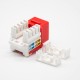 Cat6 RJ45 UTP Keystone Jack Angled Through Hole Socket Red Network Module Cat6 RJ45 UTP Keystone Jack Angled Through Hole Socket Red Network Module