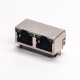 Dual RJ45 Connector PCB Through Hole Right Angled Shielded Jack with LED Dual RJ45 Connector PCB Through Hole Right Angled Shielded Jack with LED