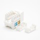 Jack Modular RJ45 Angled Single Port 8P8C Through Hole Unshielded CAT6 Jack Modular RJ45 Angled Single Port 8P8C Through Hole Unshielded CAT6