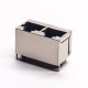 RJ45 Dual Port 1*2 Straight Through Hole for PCB Mount RJ45 Dual Port 1*2 Straight Through Hole for PCB Mount