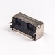 RJ45 Ethernet Jack 1x2 Dual Port 8P8C DIP Type 90 Degree without LED RJ45 Ethernet Jack 1x2 Dual Port 8P8C DIP Type 90 Degree without LED