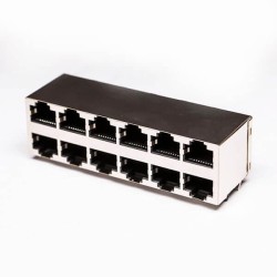 RJ45 Female Connector 2*6 Double Row 12 Port with Shield and Without LED