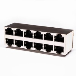 RJ45 Female Connector 2*6 Double Row 12 Port with Shield and Without LED