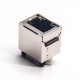 RJ45 LED Indicators Shielded Jack Straight with LED Through Hole for PCB Mount RJ45 LED Indicators Shielded Jack Straight with LED Through Hole for PCB Mount