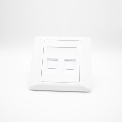 Information Panel 2 Holes Screw Fixing Network Module Panel White