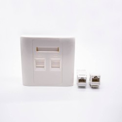 Panel Socket Unshield Dual Port RJ45 Jack Type 86 Information Panel