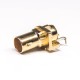 BNC Female Connector PCB Mount Angled DIP Type BNC Female Connector PCB Mount Angled DIP Type
