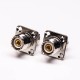 UHF Female Flange Mount Straight Connector for Rear Bulkhead UHF Female Flange Mount Straight Connector for Rear Bulkhead