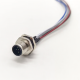 5 Pin M12 Connector A Coded Straight Back Mount Cable 0.2M Waterproof Male Receptacles 5 Pin M12 Connector A Coded Straight Back Mount Cable 0.2M Waterproof Male Receptacles
