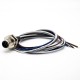 5 Pin M12 Connector A Coded Straight Back Mount Cable 0.2M Waterproof Male Receptacles 5 Pin M12 Connector A Coded Straight Back Mount Cable 0.2M Waterproof Male Receptacles