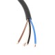 M12 4 Core A-Coding Female Straight Connector Molded 1.5M AWG22 PVC Black Cable Single Ended