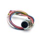 M12 A Code 12P Panel Mount Connector to 1.25mm Pitch 20CM AWG26 Wire Harness for the Signal and DC Power Shield