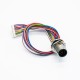 M12 A Code 12P Panel Mount Connector to 1.25mm Pitch 20CM AWG26 Wire Harness for the Signal and DC Power Shield
