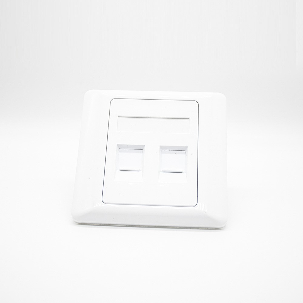 Information Panel 2 Holes Screw Fixing Network Module Panel White