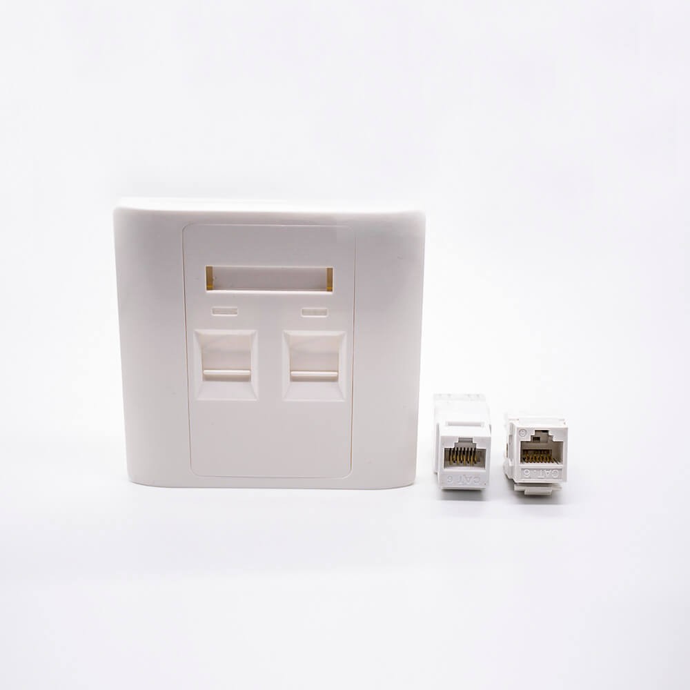 Panel Socket Unshield Dual Port RJ45 Jack Type 86 Information Panel