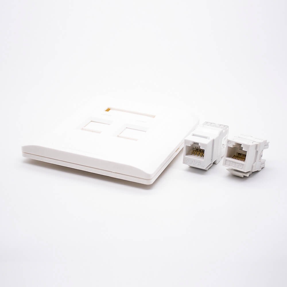 Panel Socket Unshield Dual Port RJ45 Jack Type 86 Information Panel